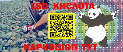 крисы Ливны