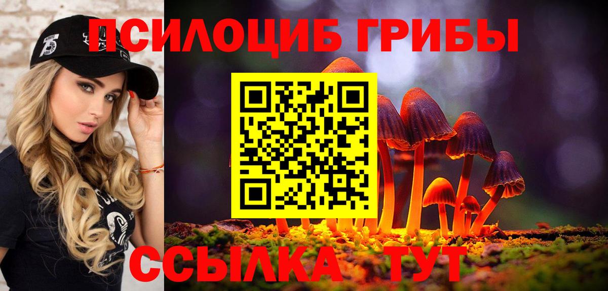 Галлюциногенные грибы прущие грибы  Вход с VPN  Энгельс 